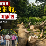 सोफवा मंदिर परिसर में हरे पेड़ों की कटाई पर बवाल, ग्रामीणों के विरोध के बाद महंथ फरार file_00000000f5ec71fa8648e3a0e736645c